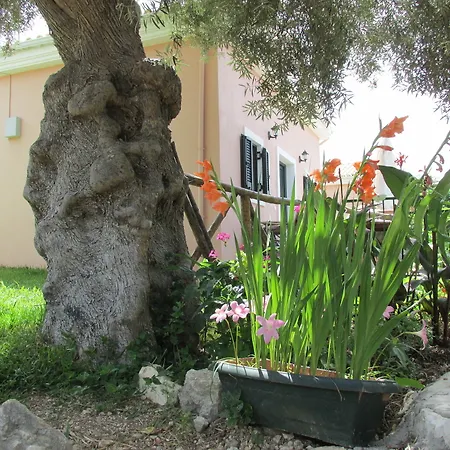 Harmony Villa Lygia (Lefkada)